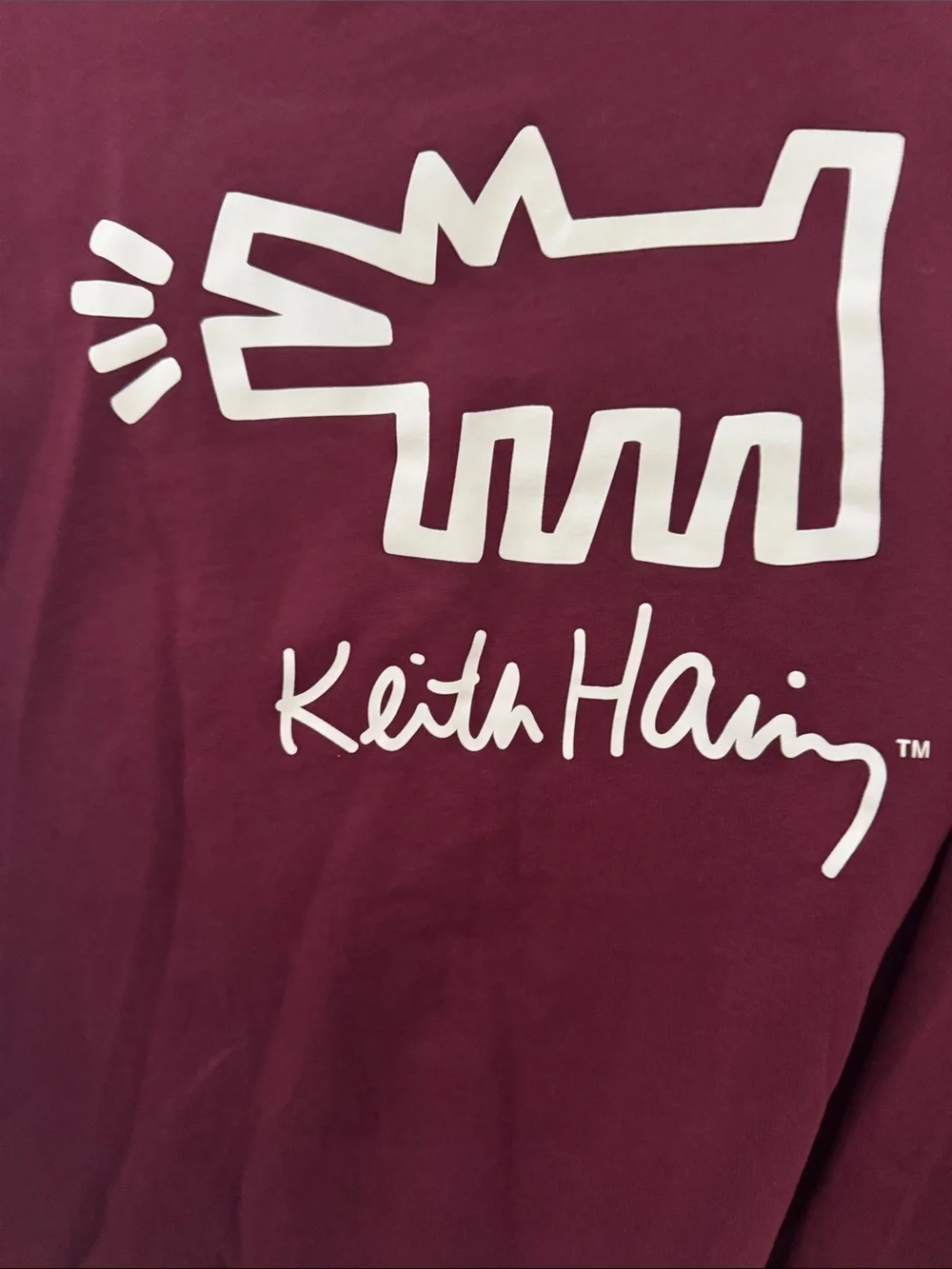 Keith Haring Iconic Dog Graphic Women's Maroon Sweatshirt & Joggers Set